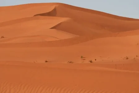 Sand Bathing