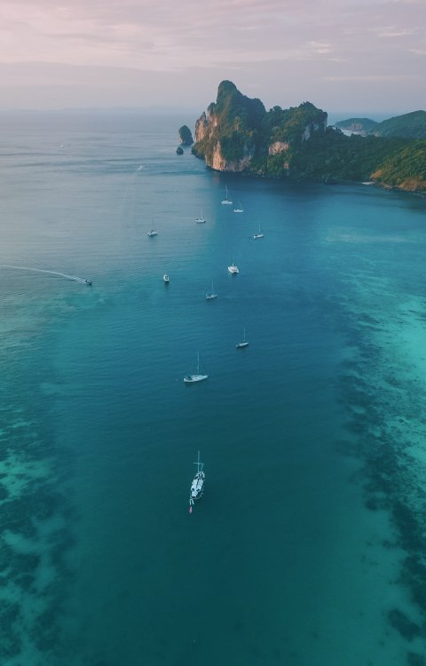 Welcome to the Oases