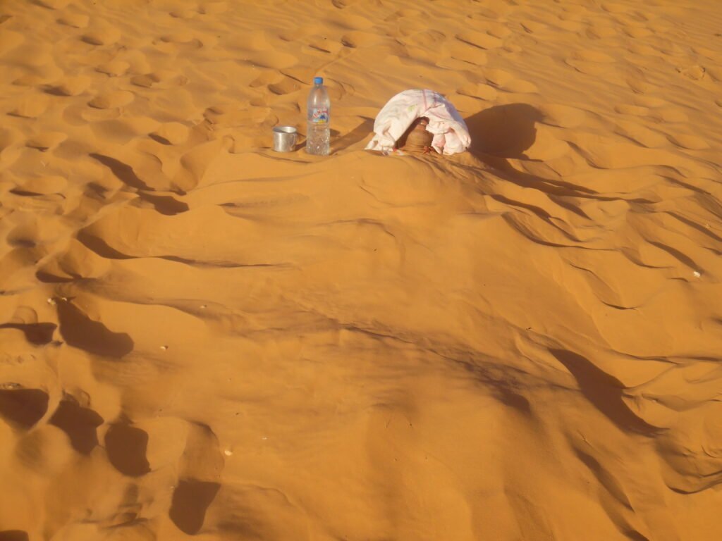 Welcome to the Oases